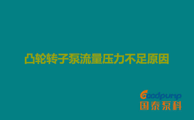 凸轮辣妹视频APP破解版流量压力不足原因