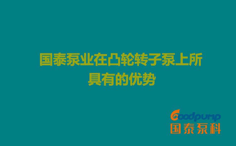 辣妹视频APP下载地址泵业在凸轮辣妹视频APP破解版上所具有的优势